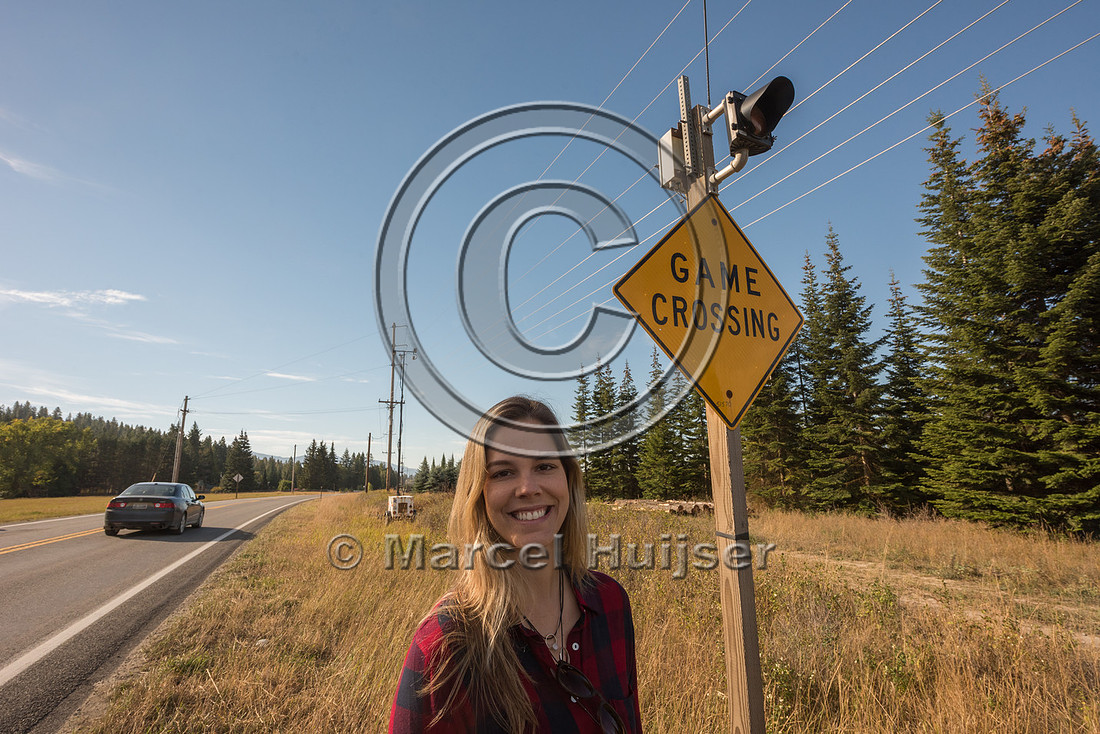 Fernanda Abra at animal detection system, north of Bonners Ferry