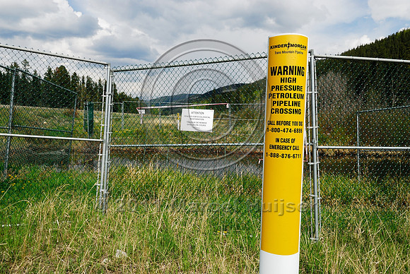 Stream crossing and revegetation of Kinder Morgan Canada oil pipeline (former TMX oil pipeline) Mount Robson Provincial Park, BC