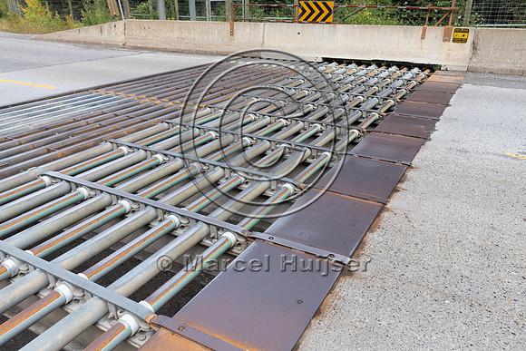 Electrified barrier to keep bears off the highway, exit Sunshine