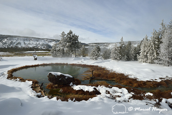 Thermal pool, Upper Geyser Basin, Yellowstone National Park, Wyoming, USA
