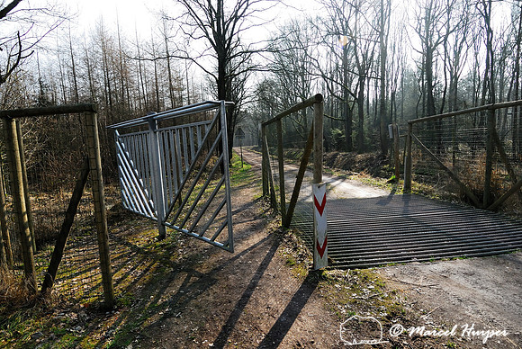 Horse swing gate, Heugterdijk, Weerterbos, near Maarheze, The Netherlands