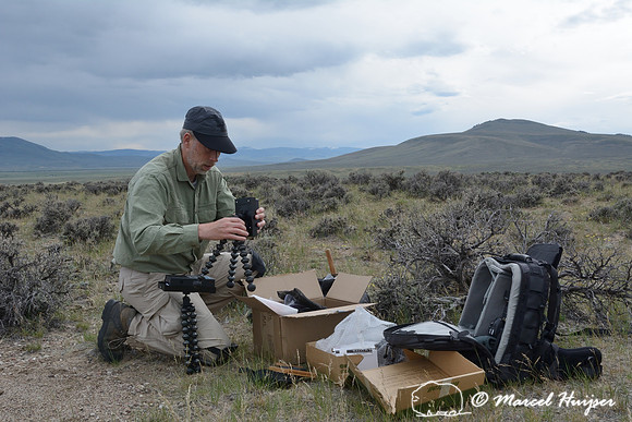Marcel Huijser sets up camera equipment to photograph pygmy rabbits, near Bannack, Montana, USA