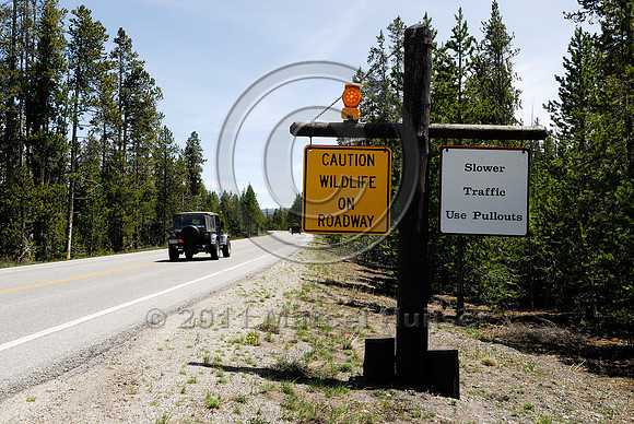 Caution, Wildlife on roadway warning sign, with flashing amber light, MT