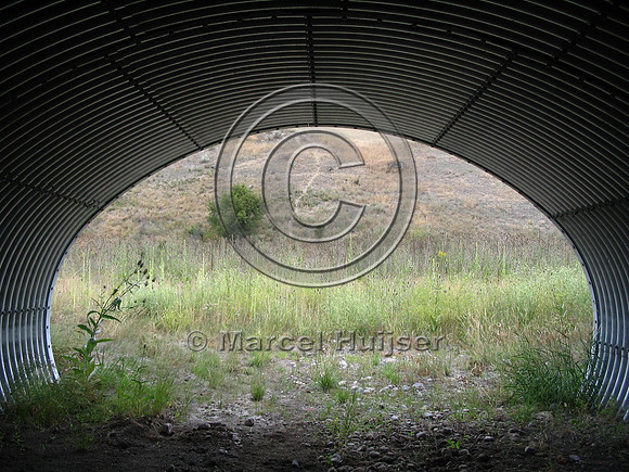 Wildlife underpass and wildlife trail, US Hwy 93, near Ravalli, Flathead Indian Reservation, Montana, USA
