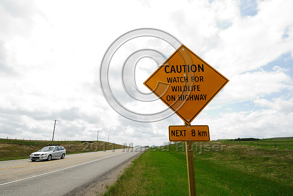 Wildlife warning sign, Caution Watch for wildlife on highway Next 8 km, AB