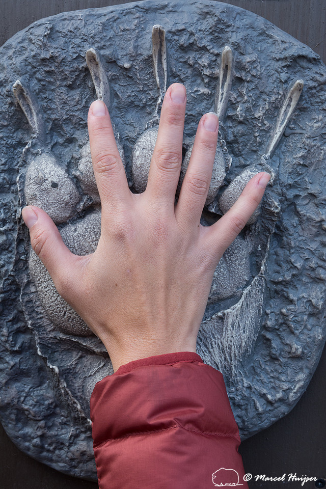 Fernanda Abra.  Wyoming, USA