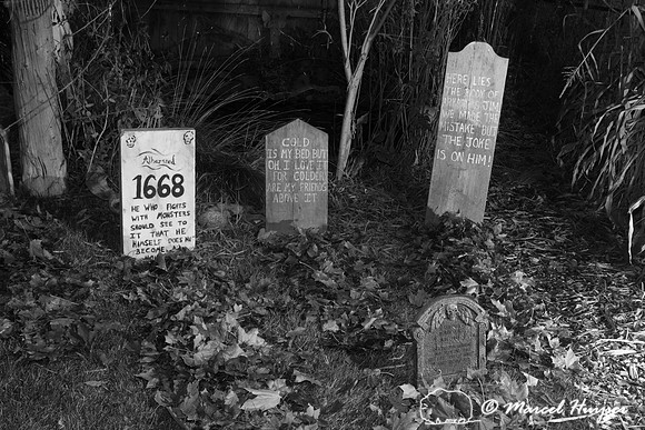 Halloween. Daniel McCue rises from the grave