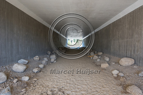 Boulders and rocks provide cover for small animals inside wildli