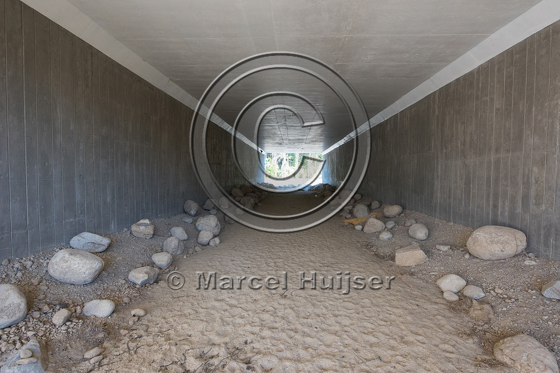 Boulders and rocks provide cover for small animals inside wildli