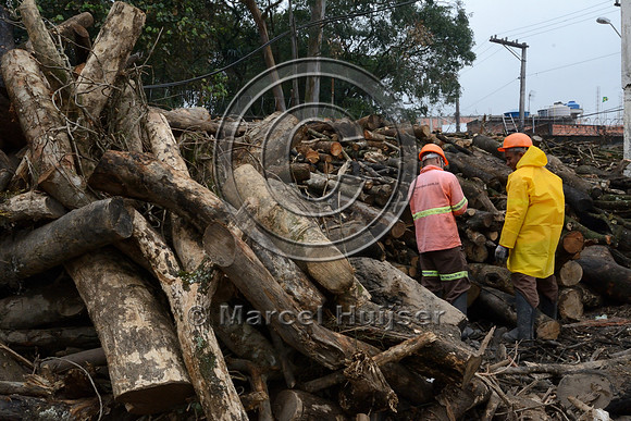 Facility where wood from native trees that were in the path of the new motorway is sorted, Sao Paulo, Brazil