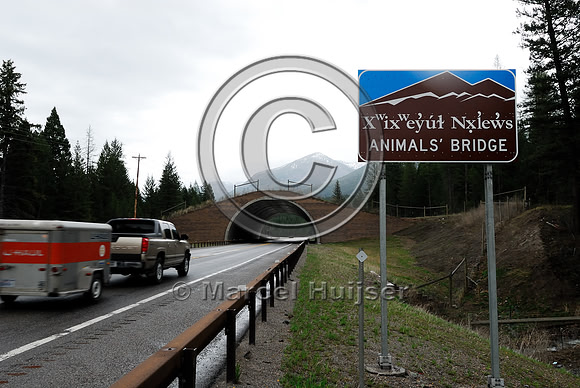 Wildlife overpass and bilingual informational sign "animals' bridge", Flathead Indian Reservation, near Evaro, Montana, USA