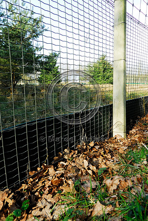 Wildlife fence at ecoduct Woeste Hoeve A50 near Apeldoorn, The Netherlands