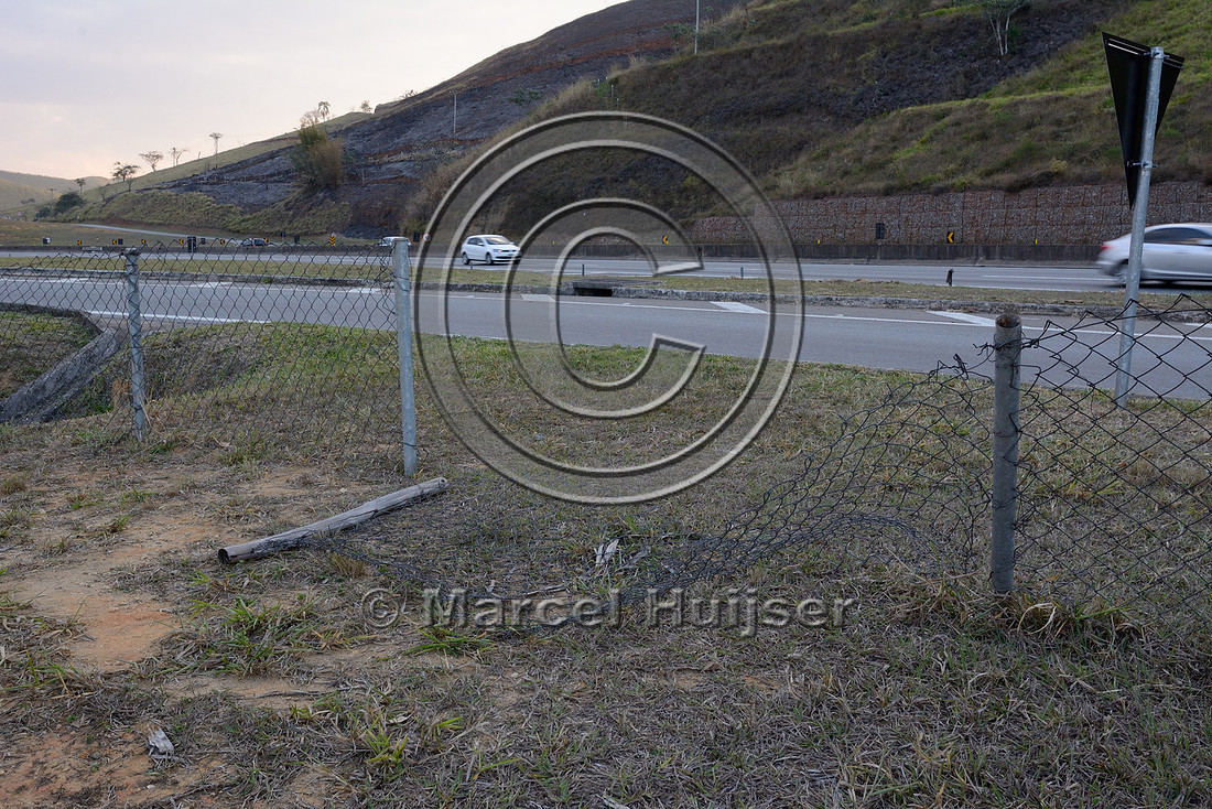 Wildlife fence to keep capybara (Hydrochoerus hydrochaeris) off the highway, with a large gap in the fence, Rodovia Presidente Dutra, (BR-116 – SP-60), near Lavrinhas, São Paulo, Brazil