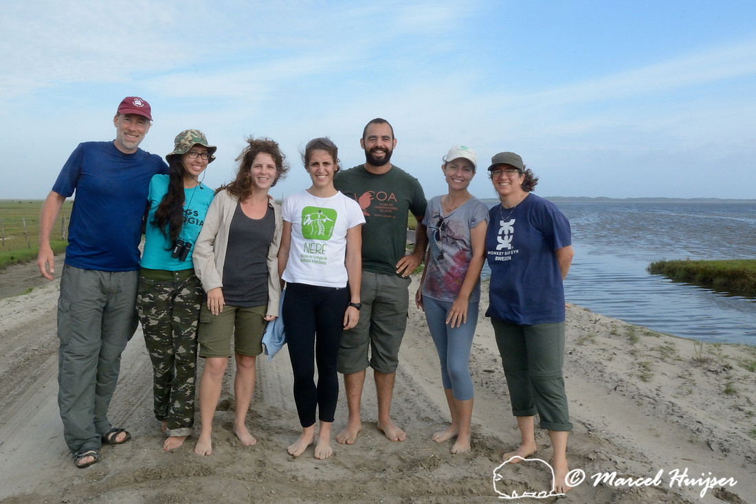 Left to right, Marcel Huijser, Gabriela Schuck, Fernanda Zimmermann Teixeira, Larissa Oliveira Gonçalves, Diogenes Borges, Machado, Paula Pinheiro,Bethanie Walder, Lagoa do Peixe, Rio Grande do Sul,