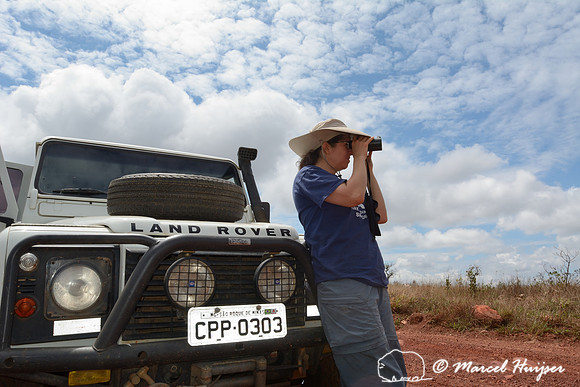 Bethanie Walder scans the landscape for wildlife, Parque Nacional da Serra da Canastra, Minas Gerais, Brazil