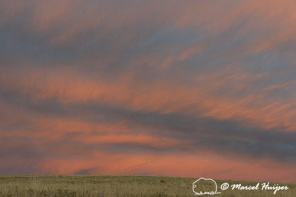 Sunset on the prairie, Montana, USA