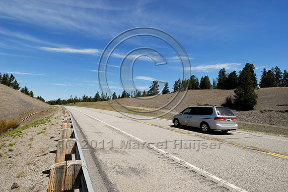 Bison or buffalo (Bos bison) crossing location just north of Madison River, US Hwy 191, West Yellowstone, MT