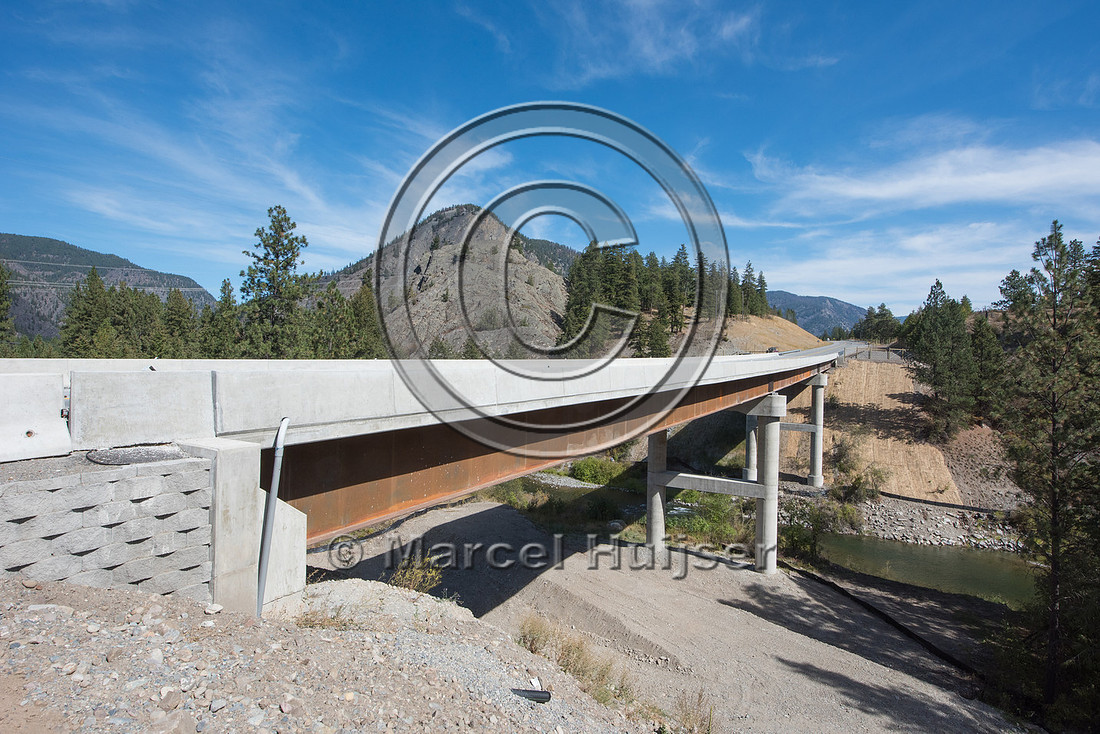 Bridge across river, also suitable for bighorn sheep (Ovis canad
