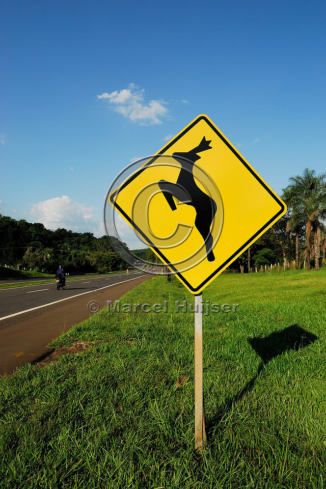 Deer warning sign along SP-225 motorway, Brotas, Brazil