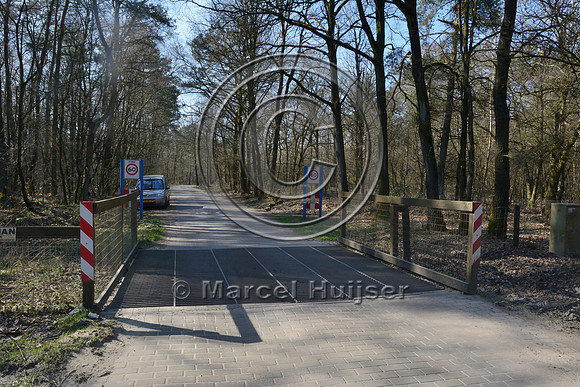 Mandatory maximum speed limit 60 km per hour zone, at wildlife guard (cattle guard), near Kootwijk, The Netherlands