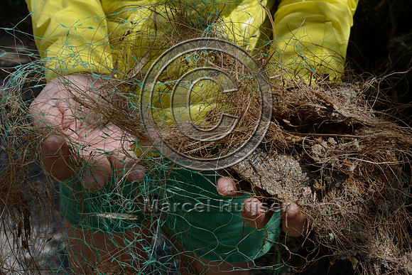 Plastic erosion control netting can be a death trap for snakes and other wildlife, Parque Nacional da Serra da Bocaina, São Paulo, Brazil