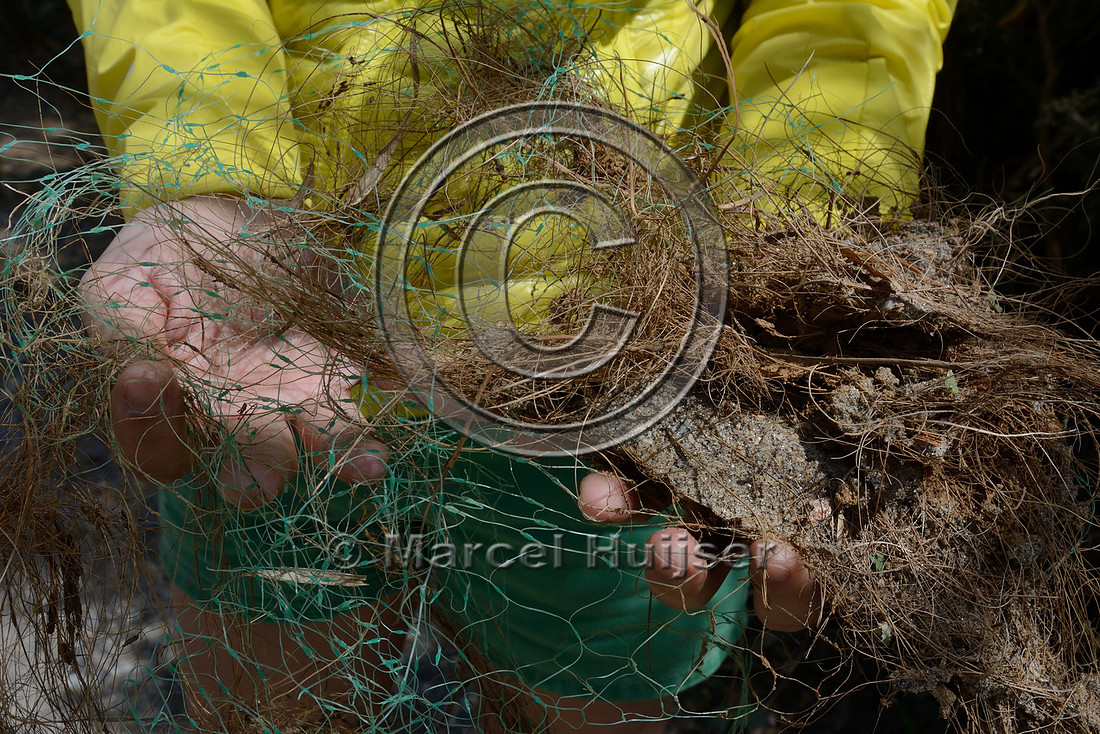 Plastic erosion control netting can be a death trap for snakes and other wildlife, Parque Nacional da Serra da Bocaina, São Paulo, Brazil