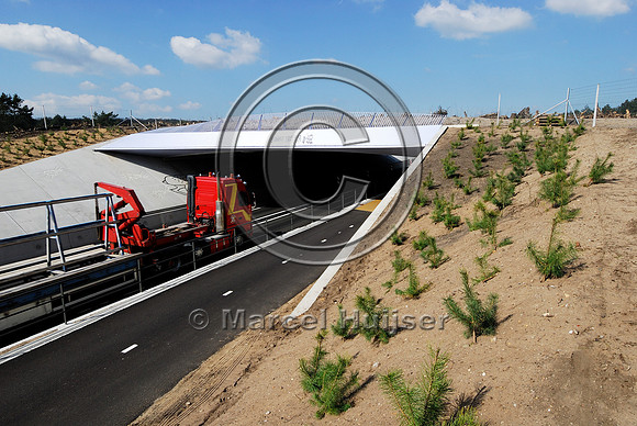 wildlife overpass Treekerwissel