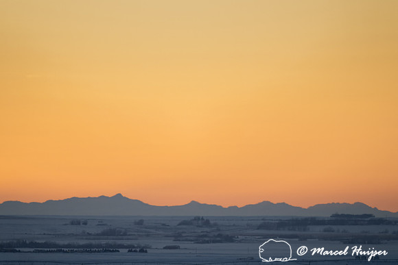 Sunset over snowy wheatfields and the Rocky Mountains, Alberta,