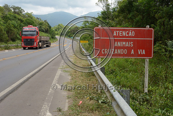 Wildlife warning sign, Attention, Animals crossing the road, RS-486, Reserva Biológica Mata Paludosa, Rio Grande do Sul, Brazil