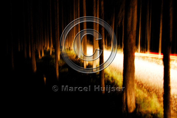 Forest road at night with lights from a passing car, Montana, USA