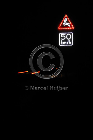 Animal detection system at night, Harderwijk, The Netherlands