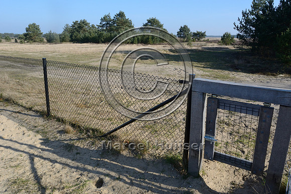 Push gate for wild boar (Sus scrofa) on top of wildlife overpass Oud Reemst (about 35 m wide), south of Otterlo, The Netherlands