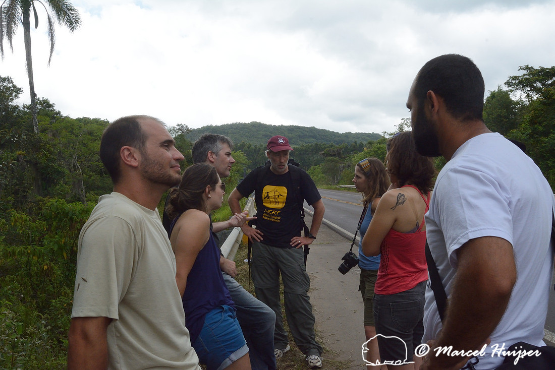 Road ecology researchers in the field. From left to right Igor Pfeifer Coelho, Júlia Beduschi, Andreas Kindel, Fernanda Zimmermann Teixeira, Paula Pinheiro, and Diogenes Borges Machado, RS-486, Reserv