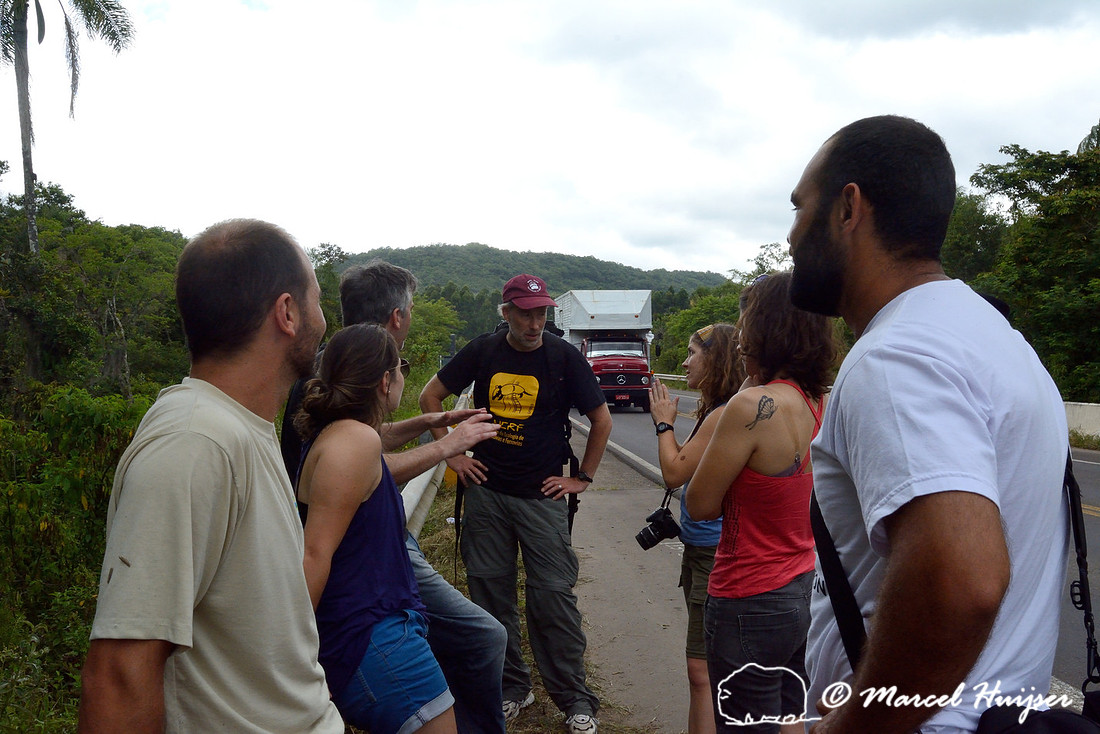 Road ecology researchers in the field. From left to right Igor Pfeifer Coelho, Júlia Beduschi, Andreas Kindel, Fernanda Zimmermann Teixeira, Paula Pinheiro, and Diogenes Borges Machado, RS-486, Reserv
