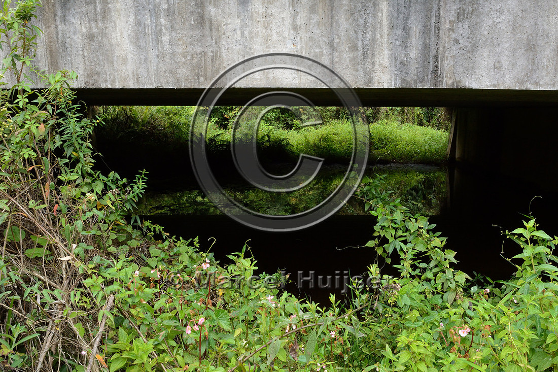 Wildlife underpass, RS-486, Reserva Biológica Mata Paludosa, Rio Grande do Sul, Brazil
