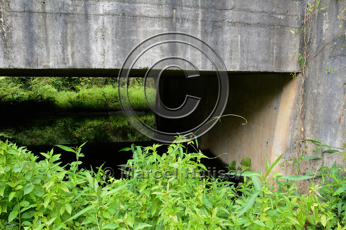 Wildlife underpass, RS-486, Reserva Biológica Mata Paludosa, Rio Grande do Sul, Brazil