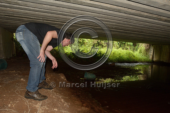 Andreas Kindel looks for animal tracks at wildlife underpass, RS-486, Reserva Biológica Mata Paludosa, Rio Grande do Sul, Brazil
