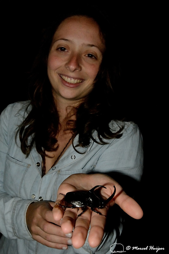 Júlia Beduschi holds a very large beetle in her hand, near Praia Grande, Santa Catarina, Brazil