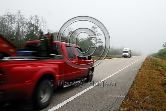 Permanently flashing wildlife warning sign (panther crossing next 7 miles) with rumble strips, SR 29, Florida, USA