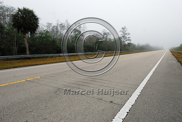 Permanently flashing wildlife warning sign (panther crossing next 7 miles) with rumble strips, SR 29, Florida, USA