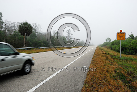 Permanently flashing wildlife warning sign (panther crossing next 7 miles) with rumble strips, SR 29, Florida, USA