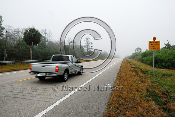 Permanently flashing wildlife warning sign (panther crossing next 7 miles) with rumble strips, SR 29, Florida, USA