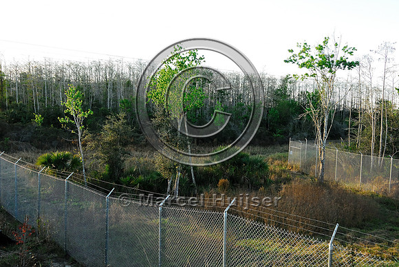 Wildlife fencing funneling wildlife (including Florida panthers (Puma concolor coryi)) to a wildlife underpass, SR 29, Florida, USA