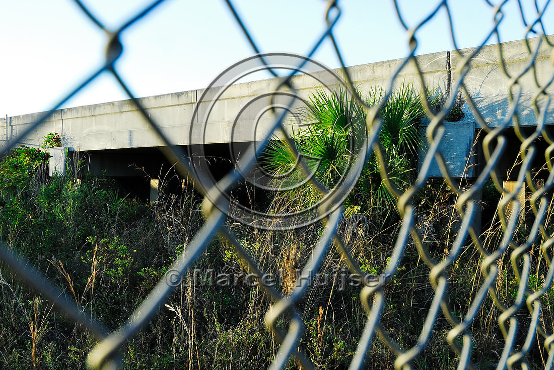 Wildlife underpass for Florida panthers (Puma concolor coryi) seen through chain-link wildlife fencing, I-75, Florida, USA