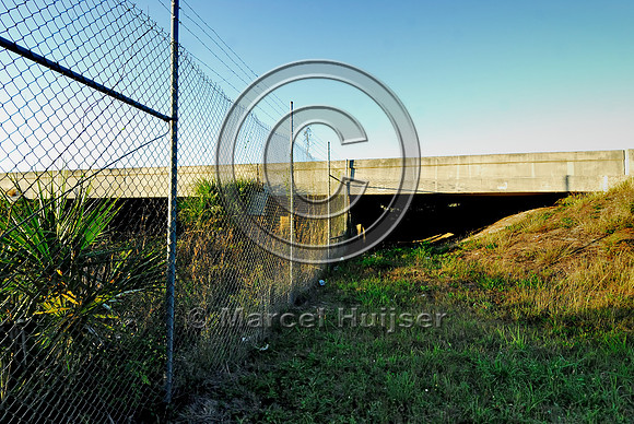 Wildlife underpass for Florida panthers (Puma concolor coryi) seen through chain-link wildlife fencing, I-75, Florida, USA