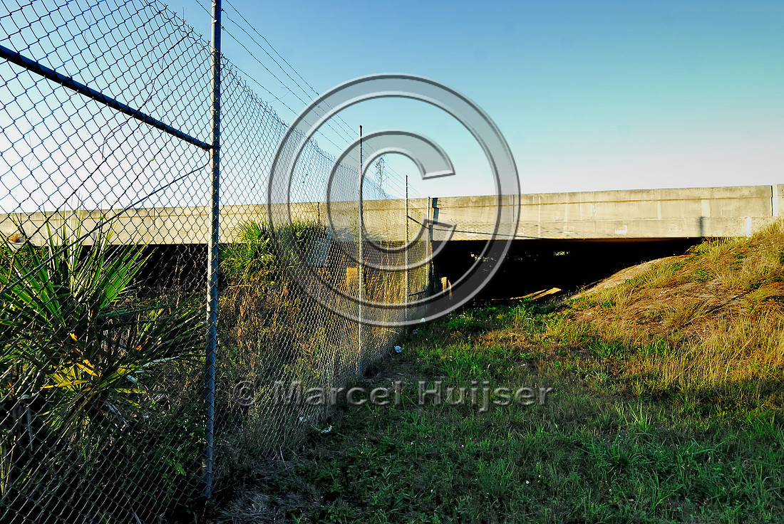 Wildlife underpass for Florida panthers (Puma concolor coryi) seen through chain-link wildlife fencing, I-75, Florida, USA