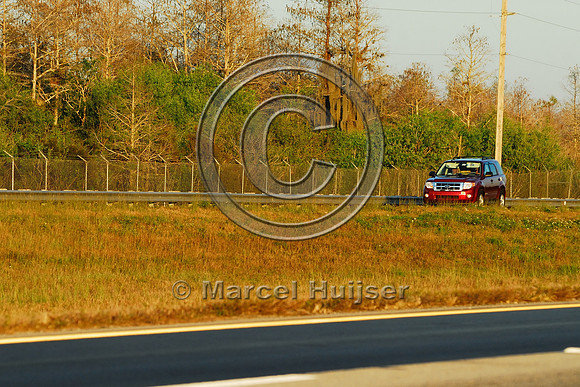 Wildlife fencing for Florida panthers (Puma concolor coryi), I-75, Florida, USA