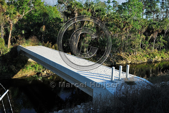 Wildlife underpass for Florida panthers (Puma concolor coryi) and wildlife bridge across canal, SR 29, Florida, USA