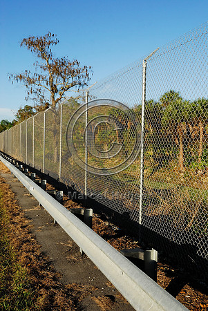 Wildlife fence (3 m (10 ft) high, chain-link) with overhang to keep Florida panthers (Puma concolor coryi) off teh highway, SR 29, Florida, USA