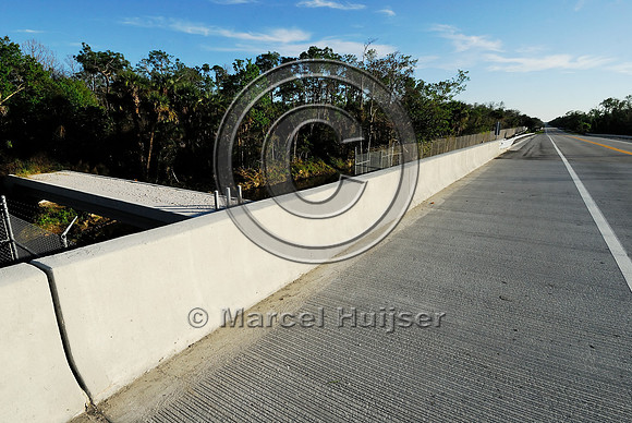 Wildlife underpass for Florida panthers (Puma concolor coryi) and wildlife bridge across canal, SR 29, Florida, USA